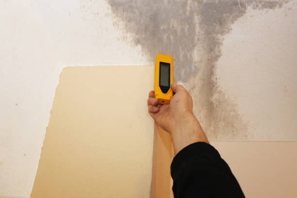 Best Residential Mold Inspection & Testing  in Houston, AK